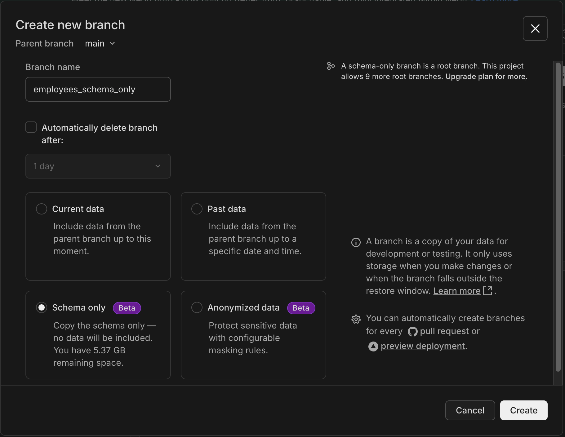 schema-only branch creation